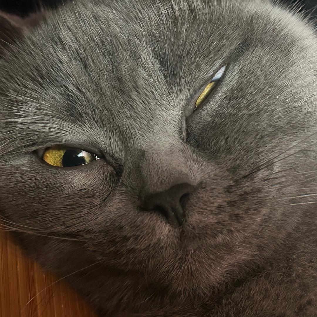 Bsr_