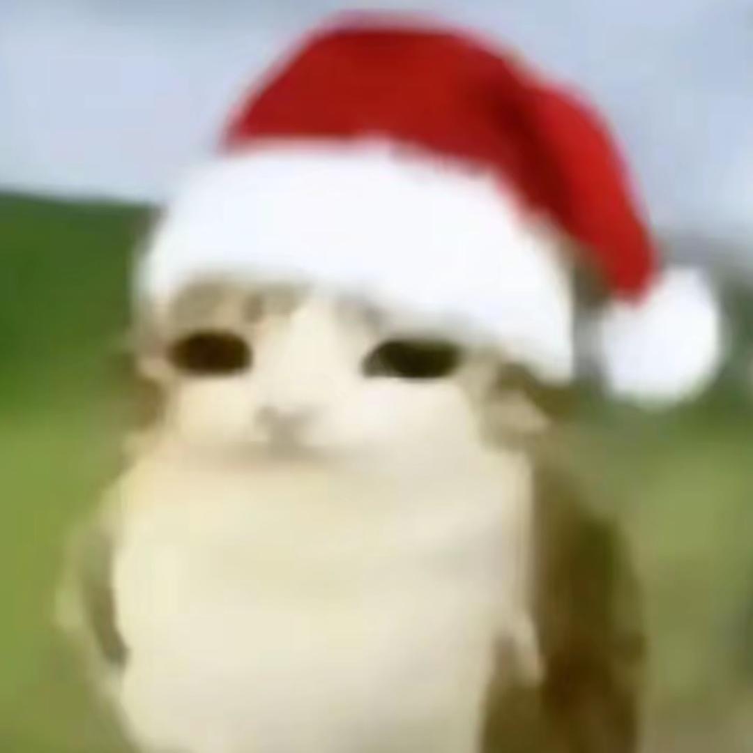 宅q