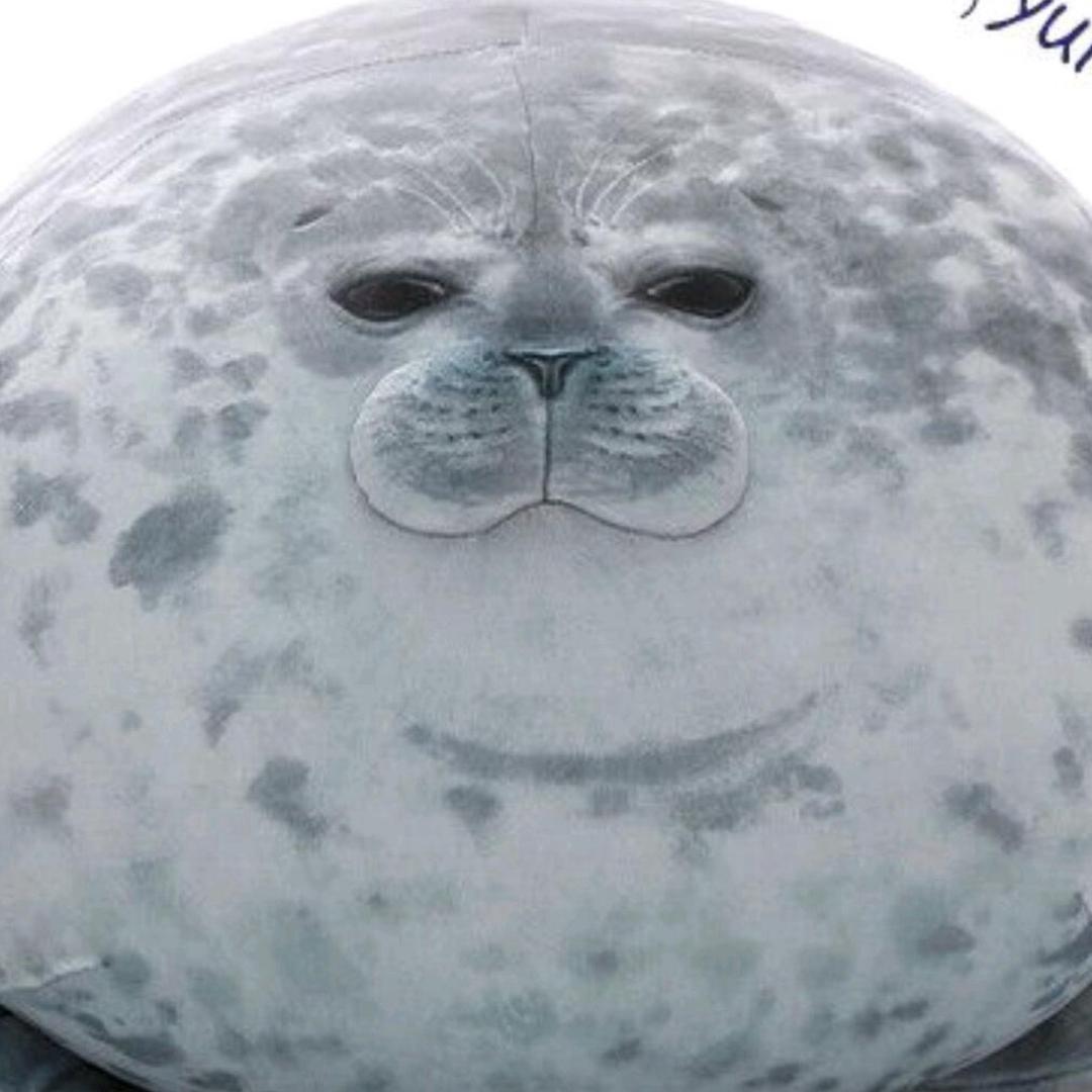啥掉