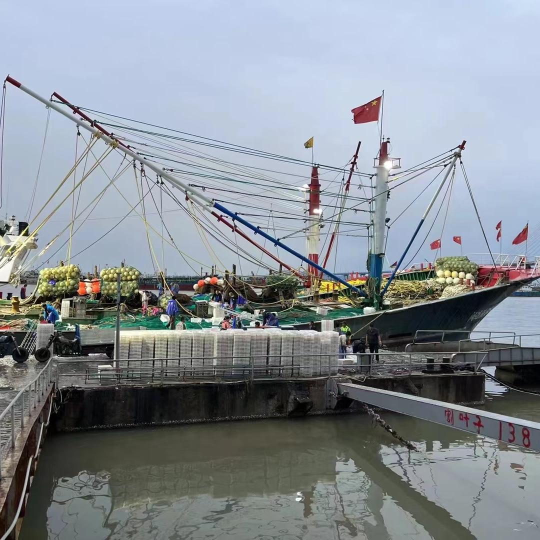 舟山三座岛舟山海鲜