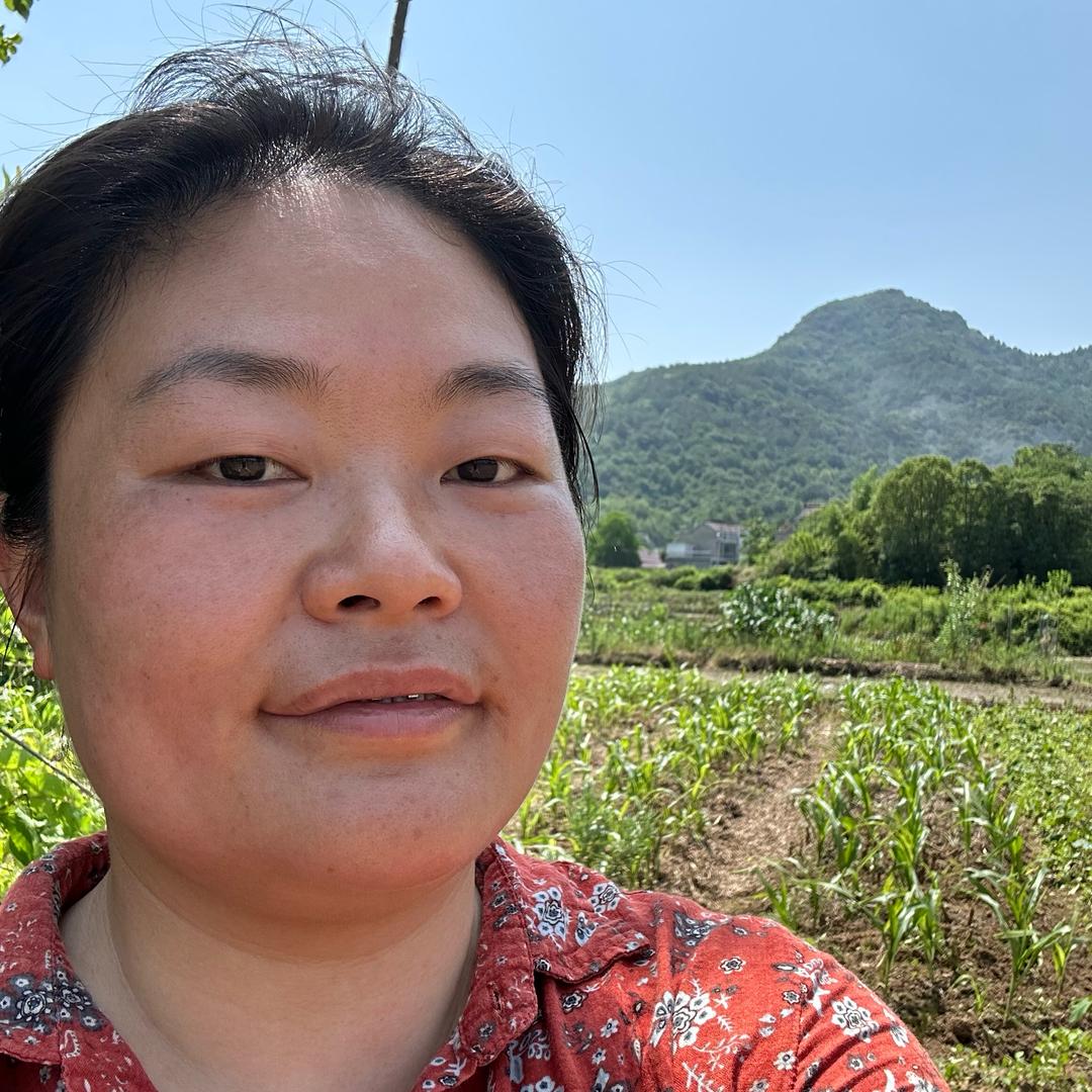 桃花在农村