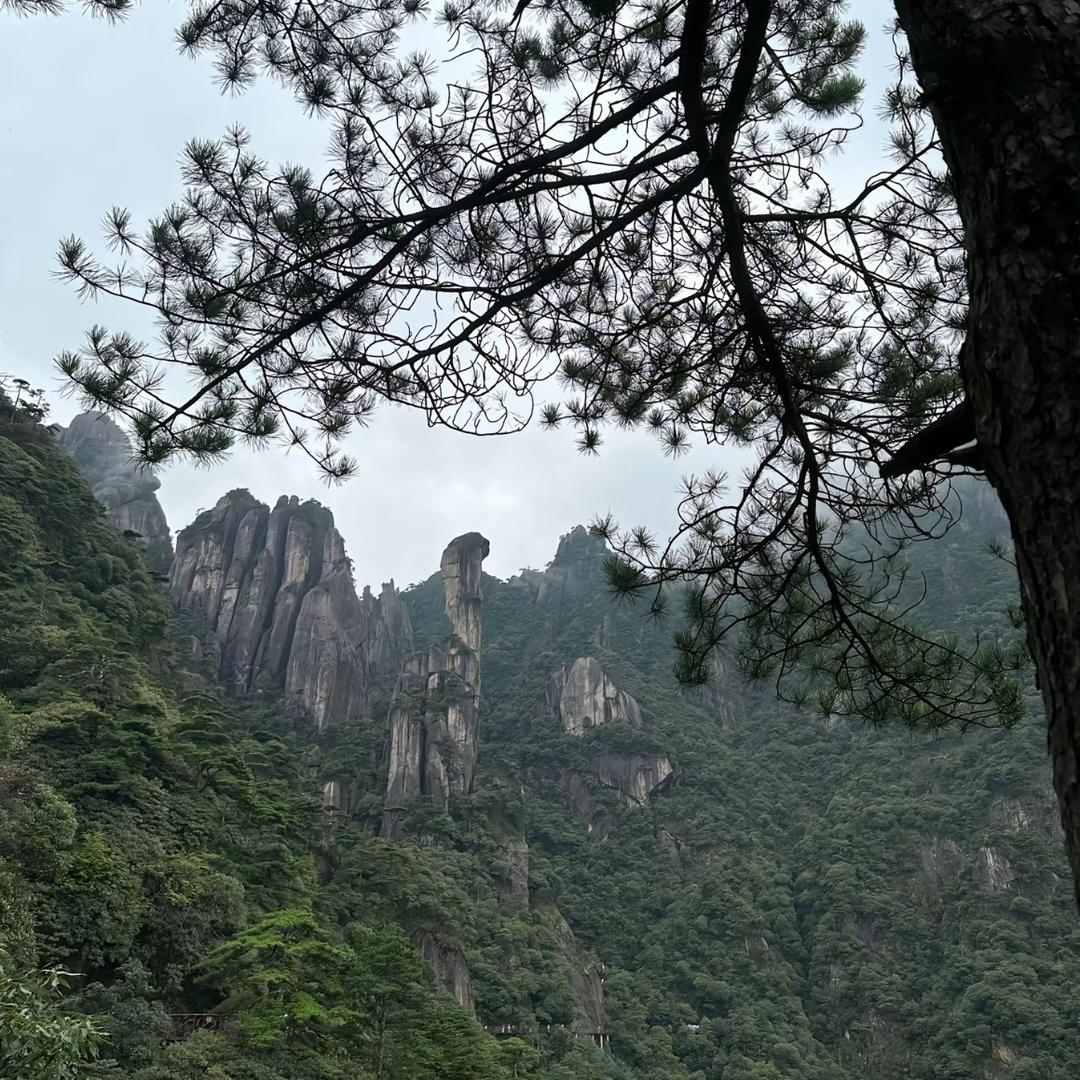 永远再