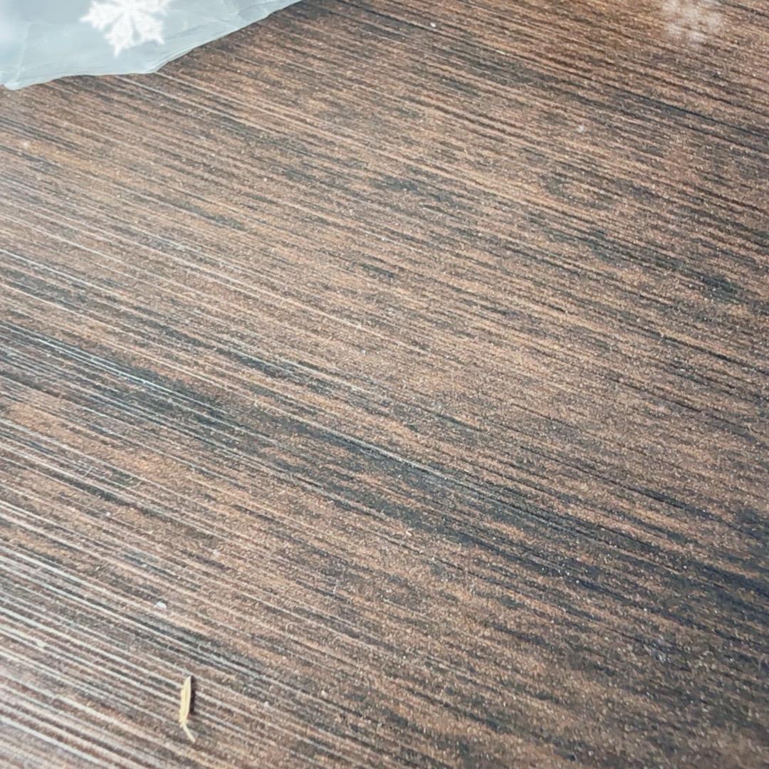 华南商会----就诗诗