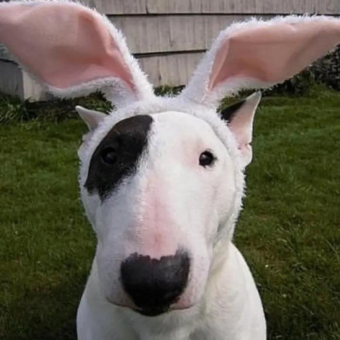 🌼🌟飞翔人生🌟💰🔥