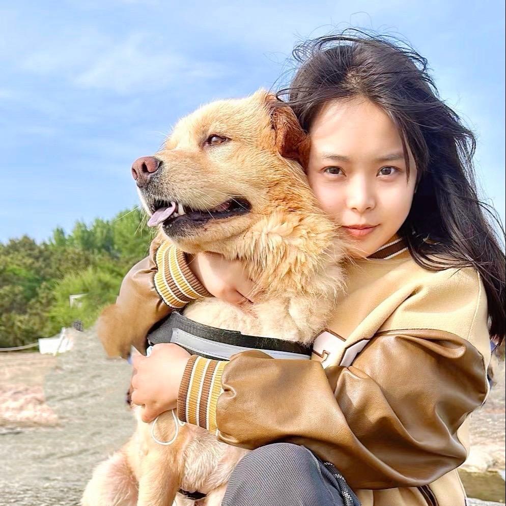 小熊养狗