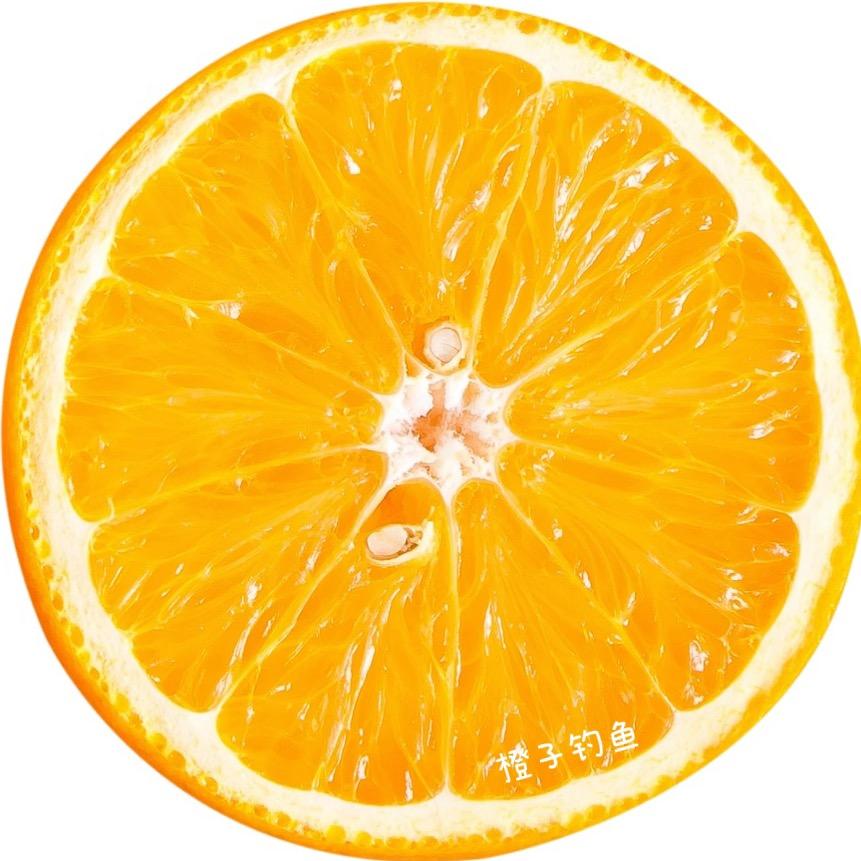 橙子钓鱼