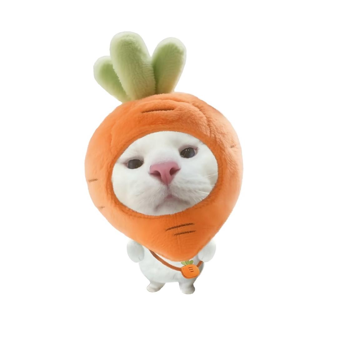 小小鱼