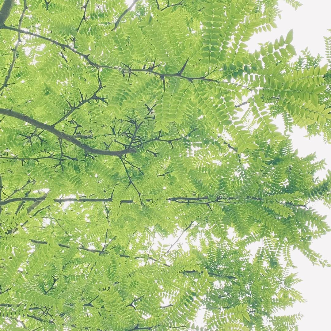走遍世界