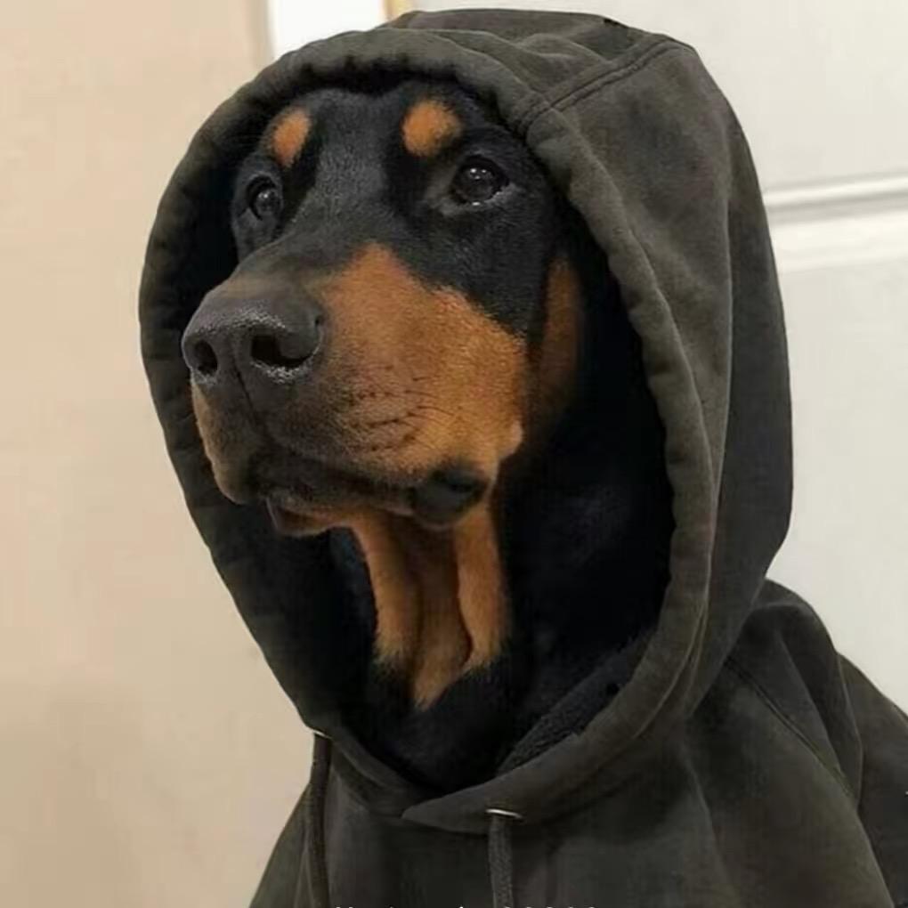 龙的传人