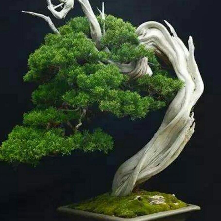 锦尚源