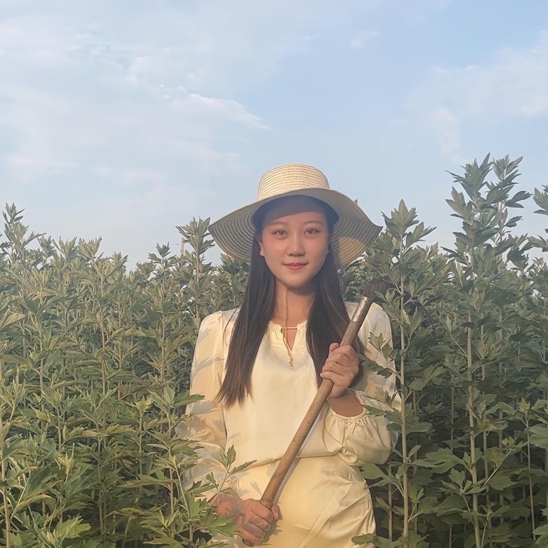 南阳致辰艾草科技有限公司
