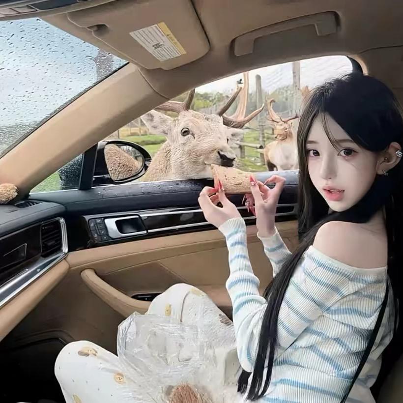 ㅤㅤㅤㅤㅤㅤㅤㅤㅤ