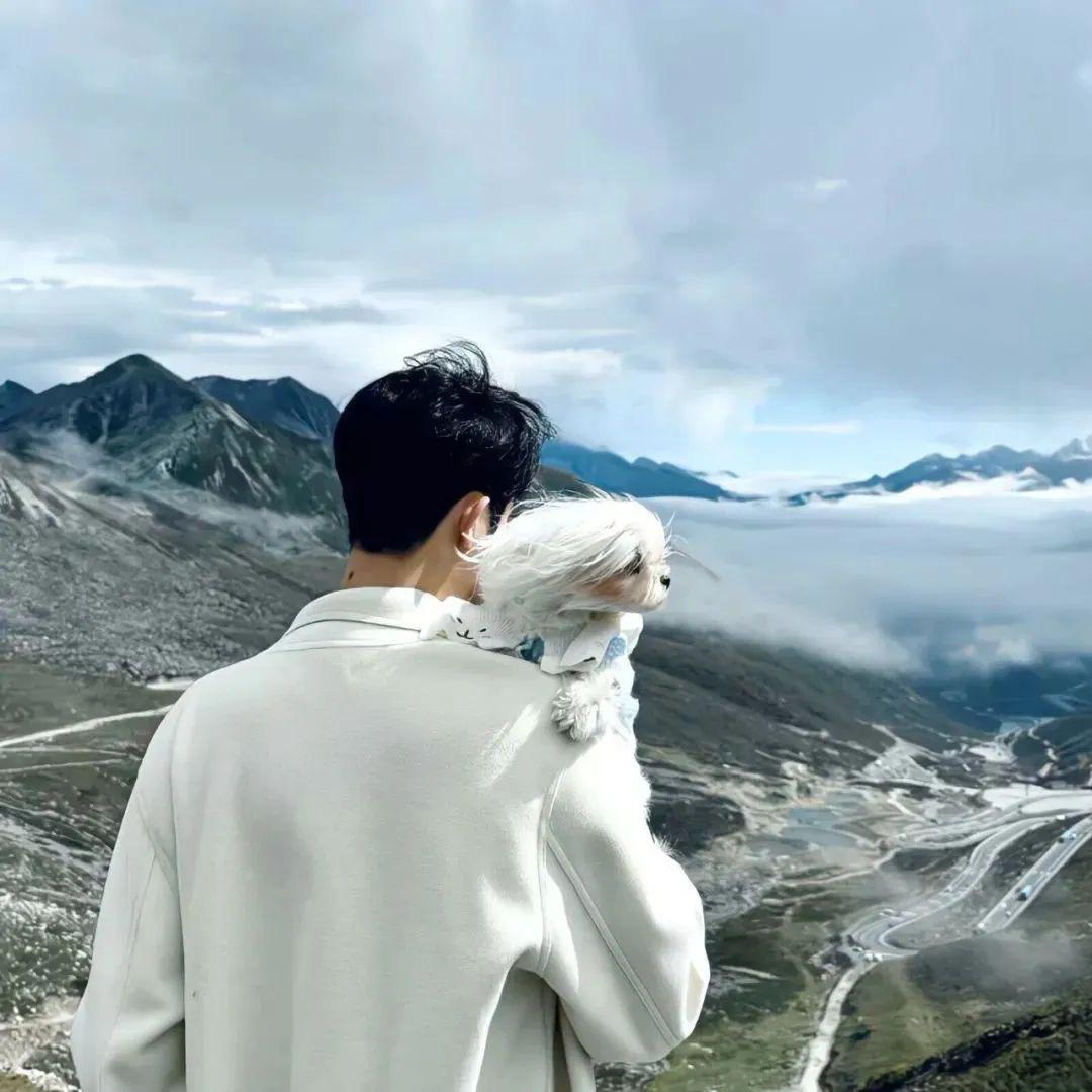 苏🧸