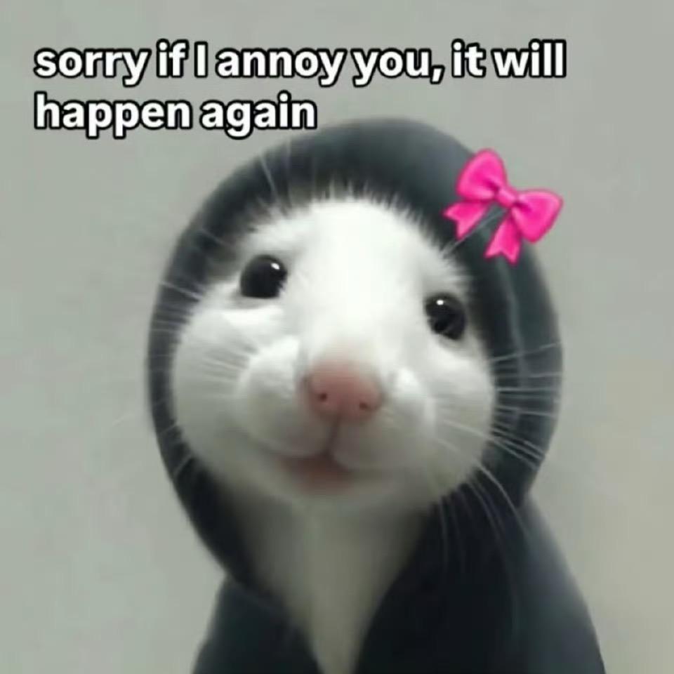 可爱多ღ