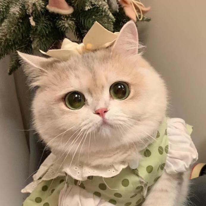肥妹爱生活