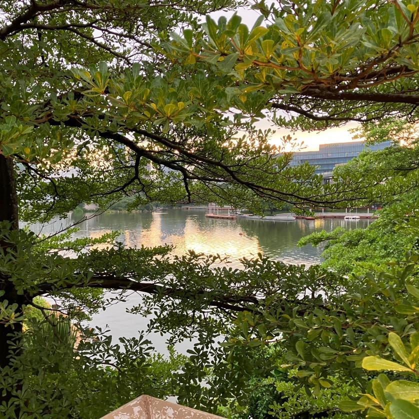 宁静致远(手机摄影)