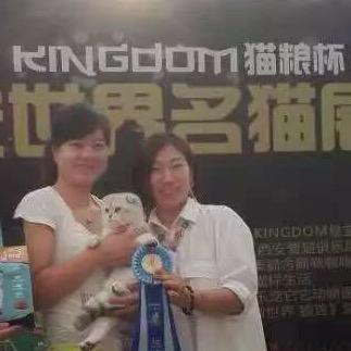 萌宠城堡[猫咪直播号]🐱