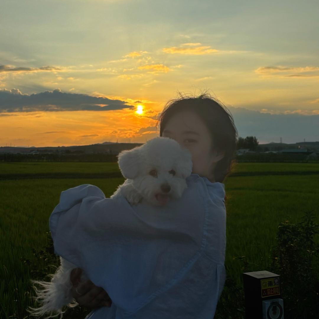 不吃椰蓉（研究生版）