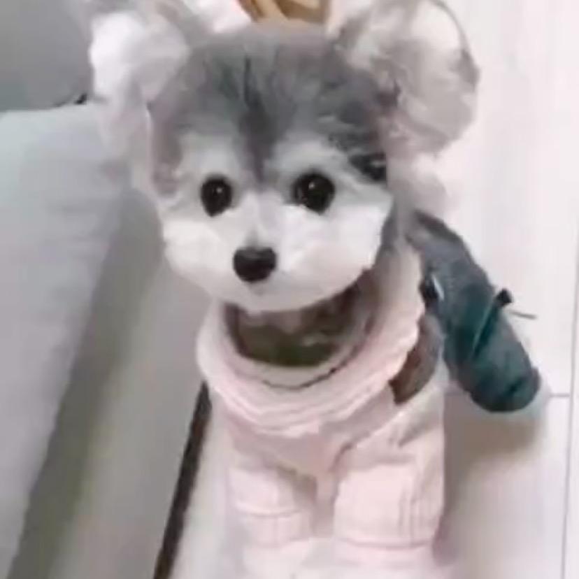 梵悦养生浮雅素直播号