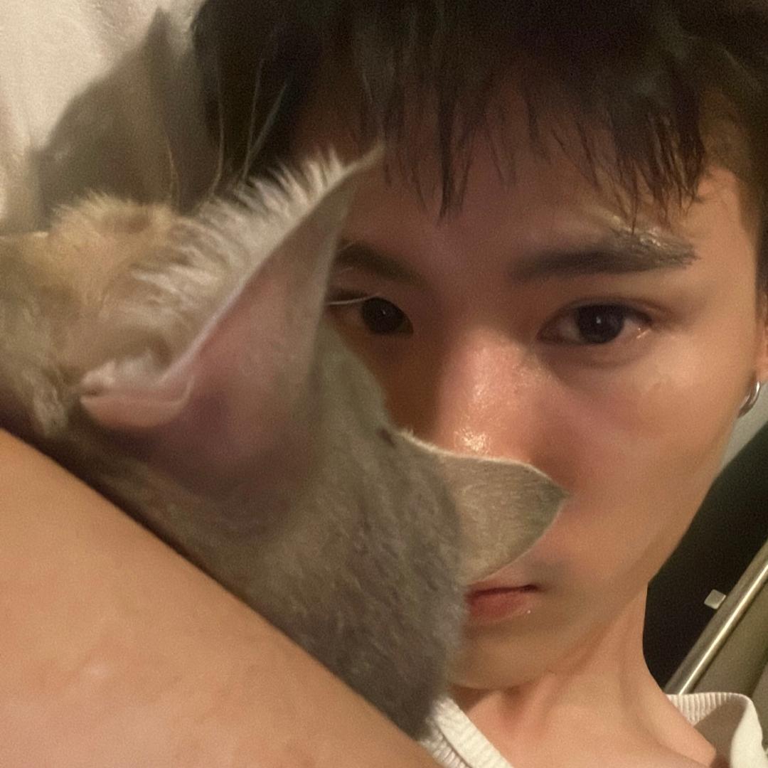 小小吴杰克🦖
