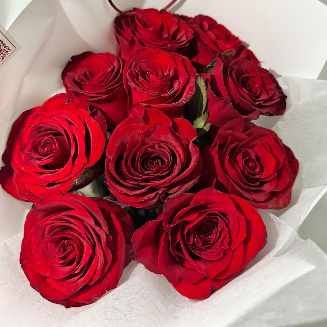 招财小喇叭🎺（减肥版）