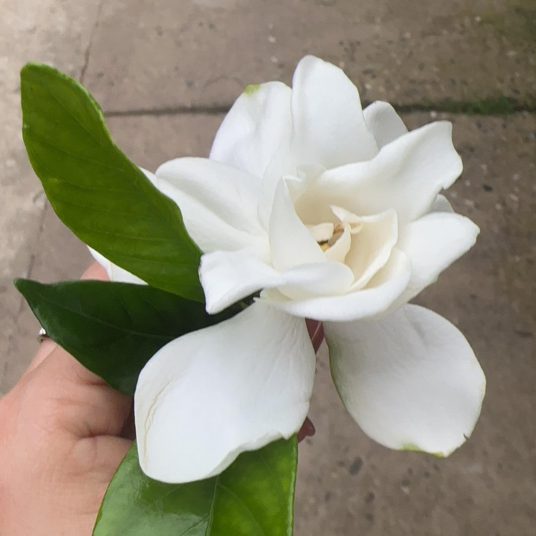 江西上饶玉梅老师