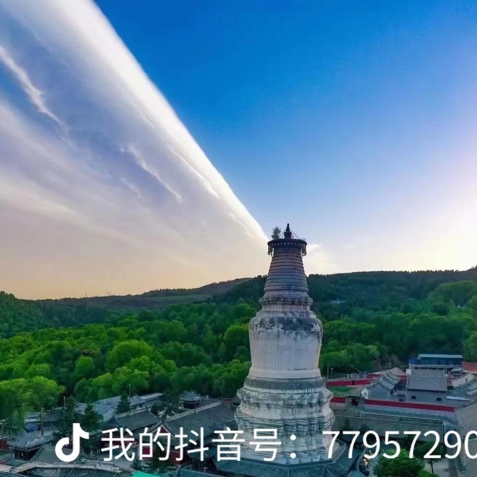 平子师兄