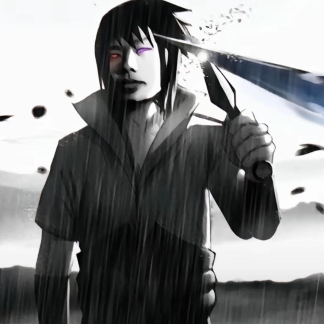 巴黎的帆／.🐉