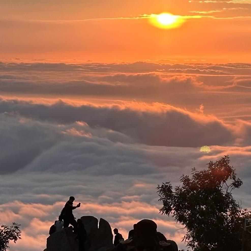 泰山陪爬-小叶🍂