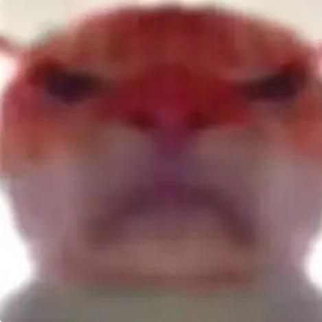 🐭