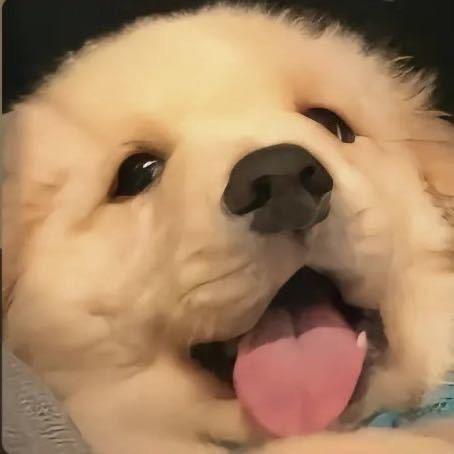 理想主义者