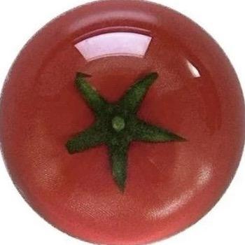 番茄不是西红柿.