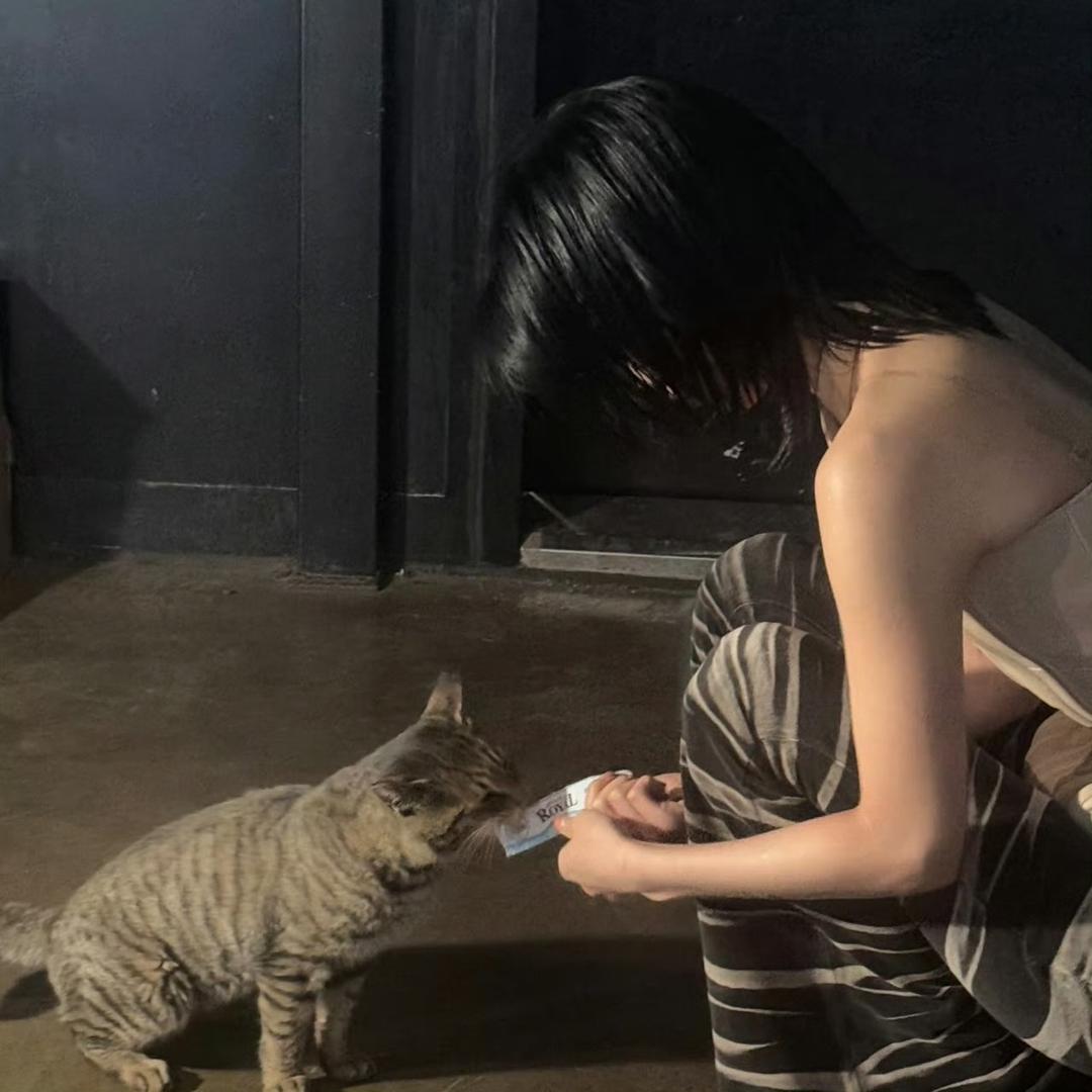 白板w