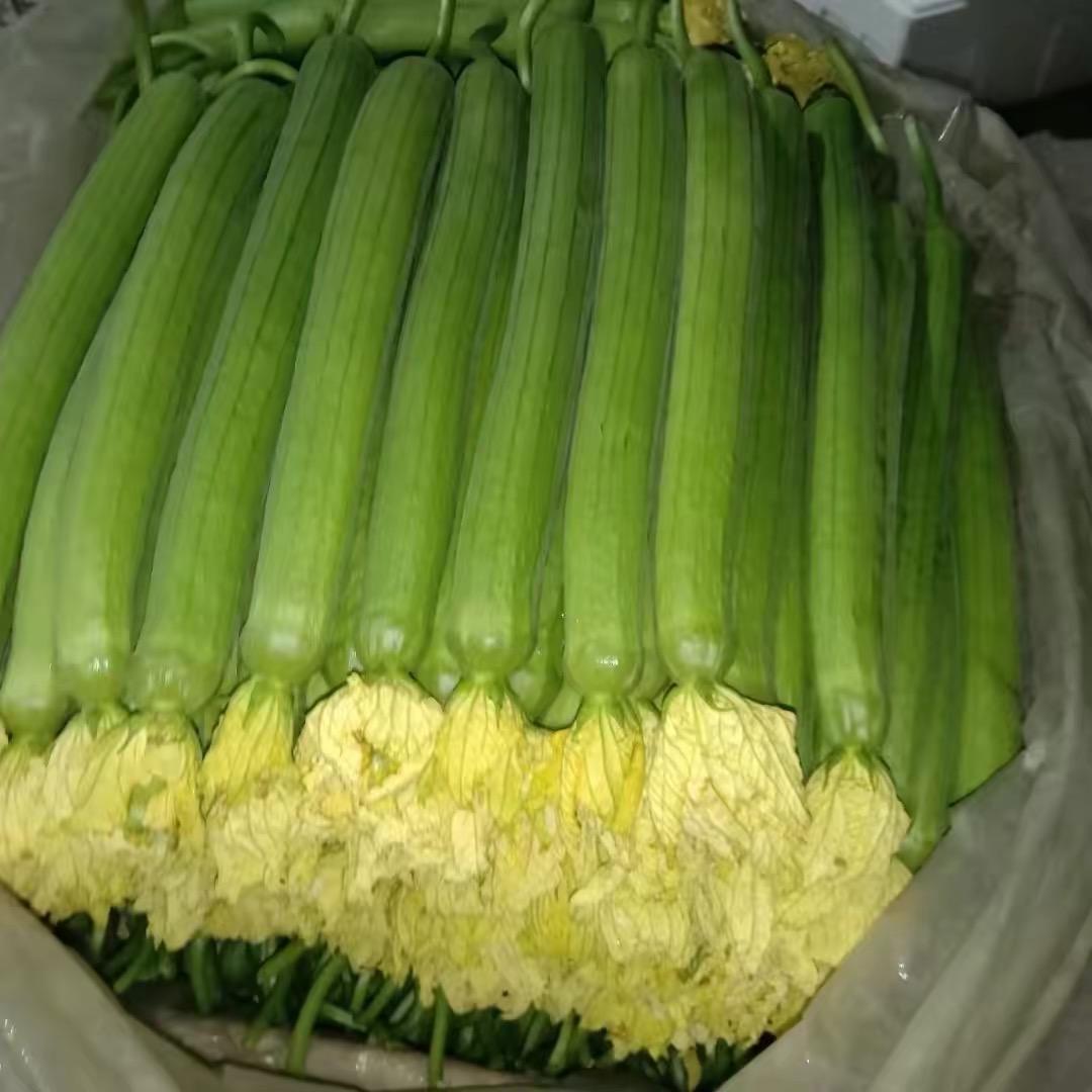 凤姨