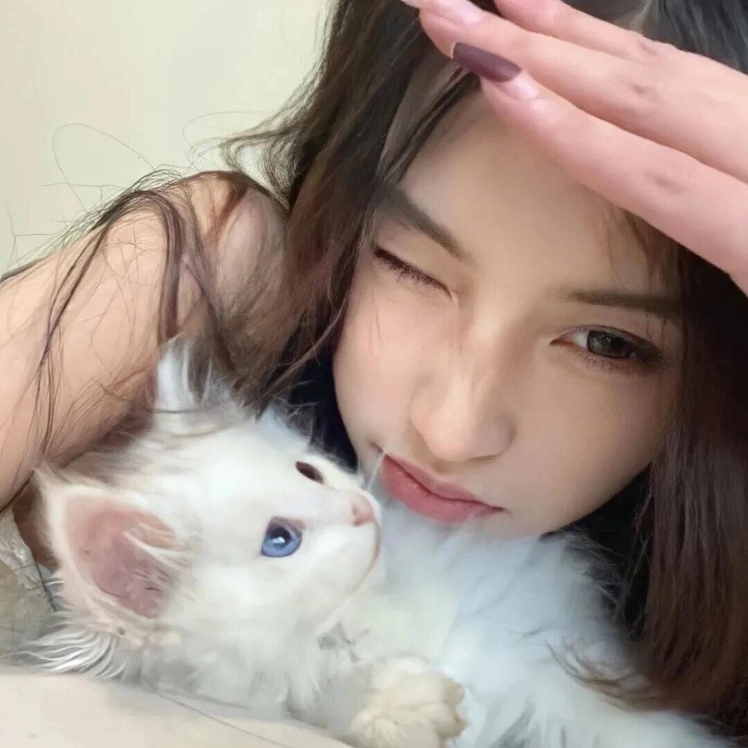 惠子小姐