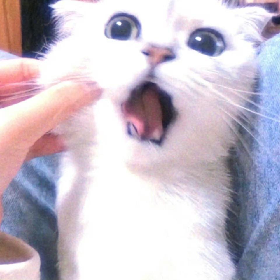 小薯狂7