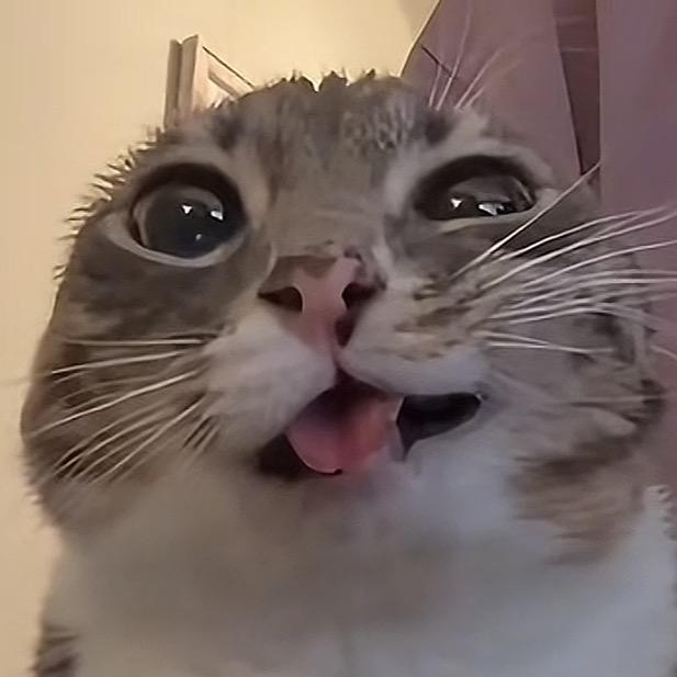 yiiiii0