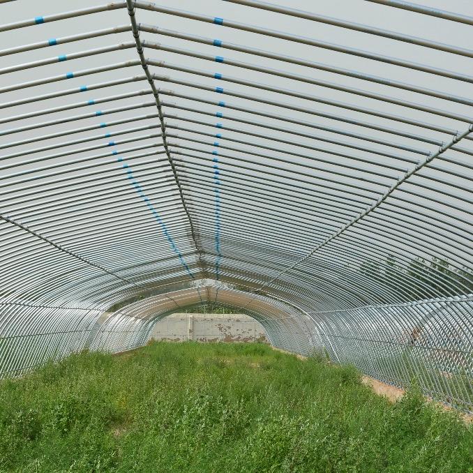 泗洪广楠大棚钢管批发