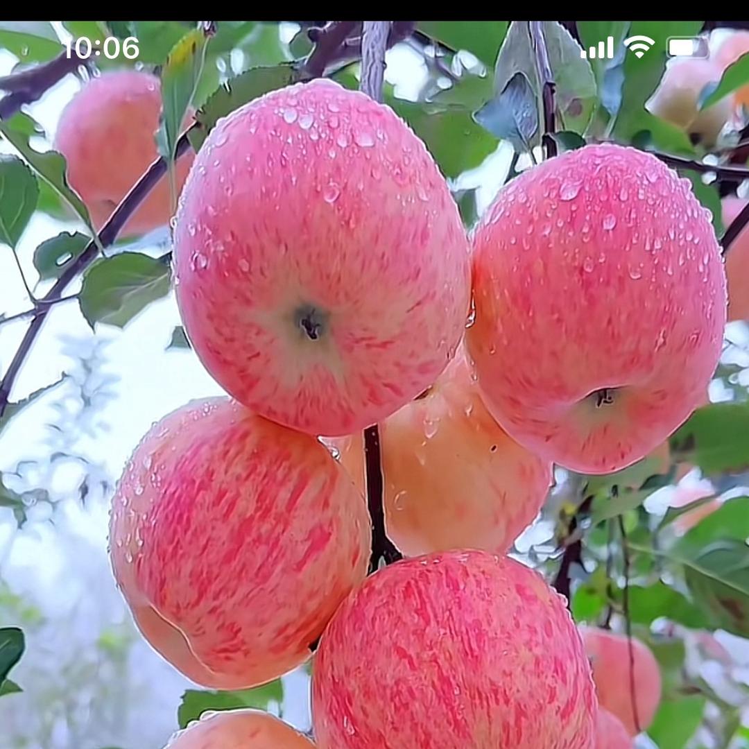 许姐