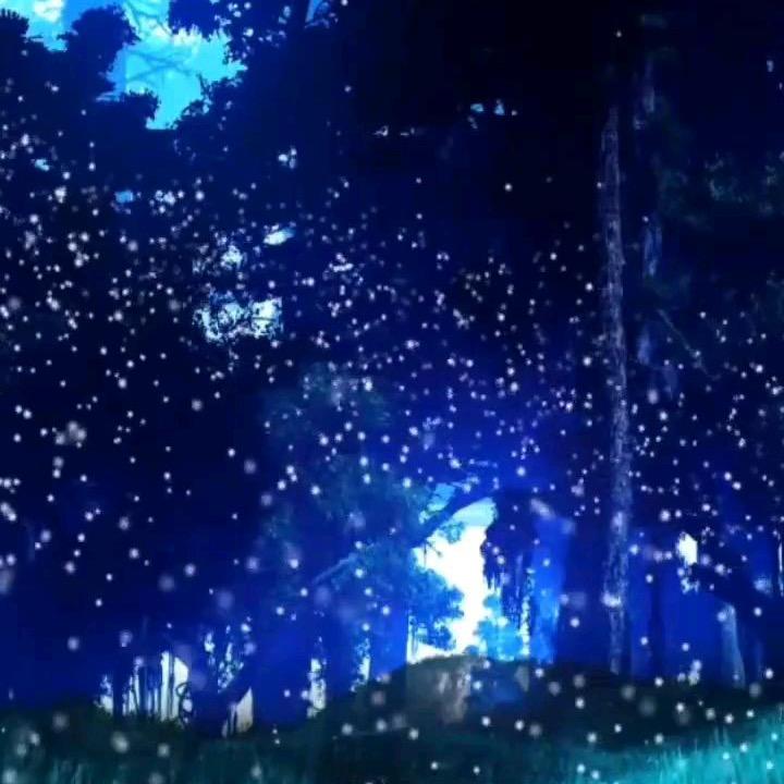 周周学习