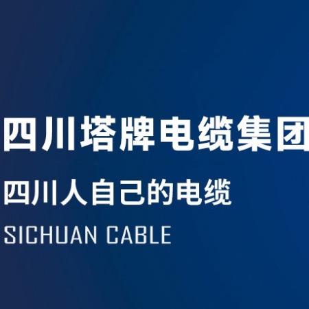 四川塔牌电缆集团有限责任公司
