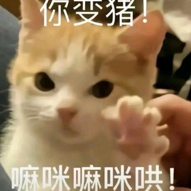 波力海苔