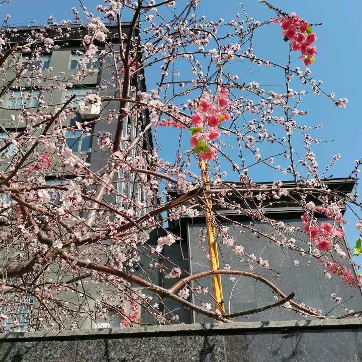 可可生活家居