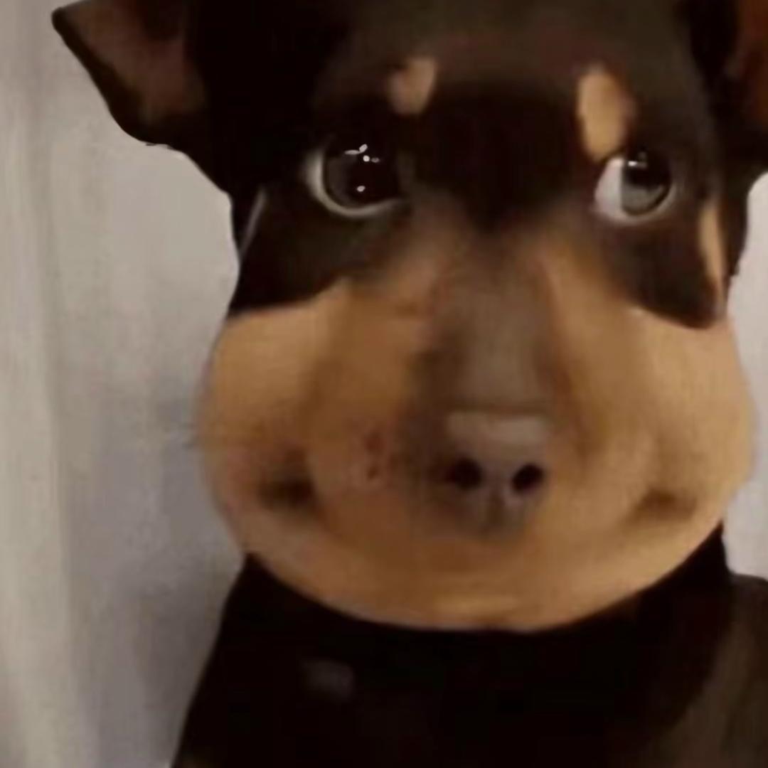lbr