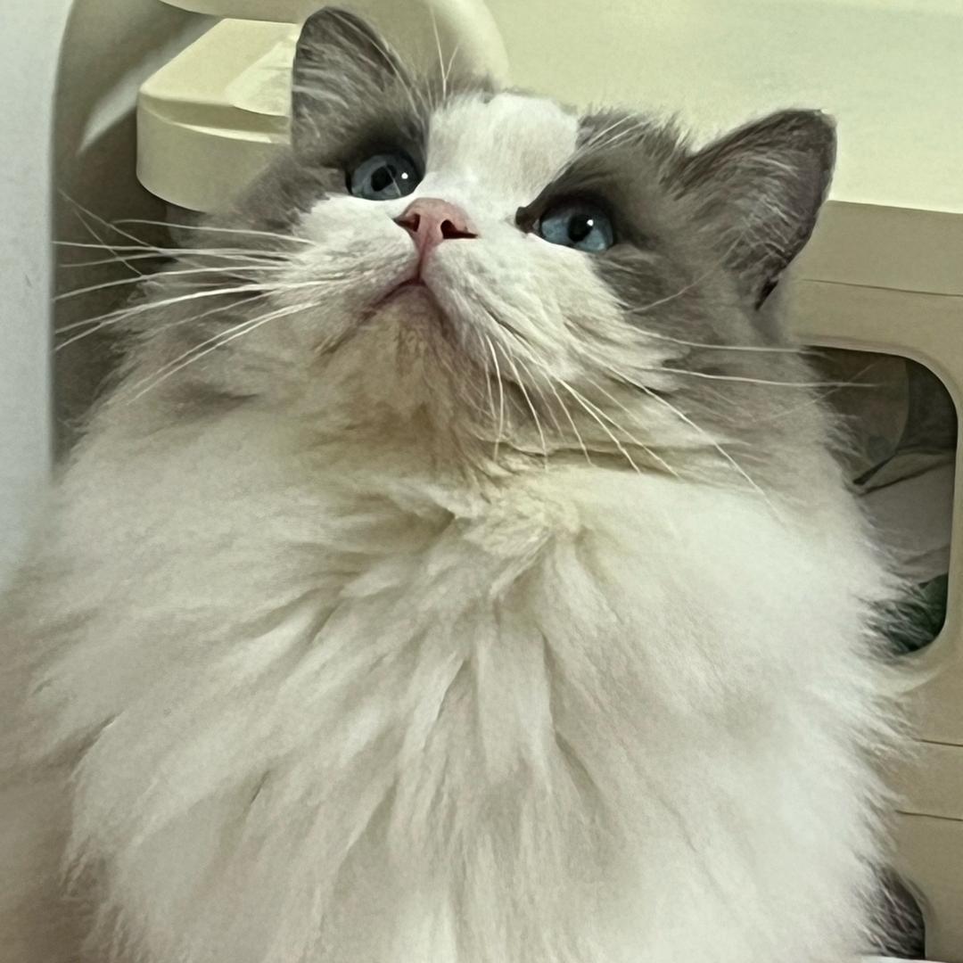 小五