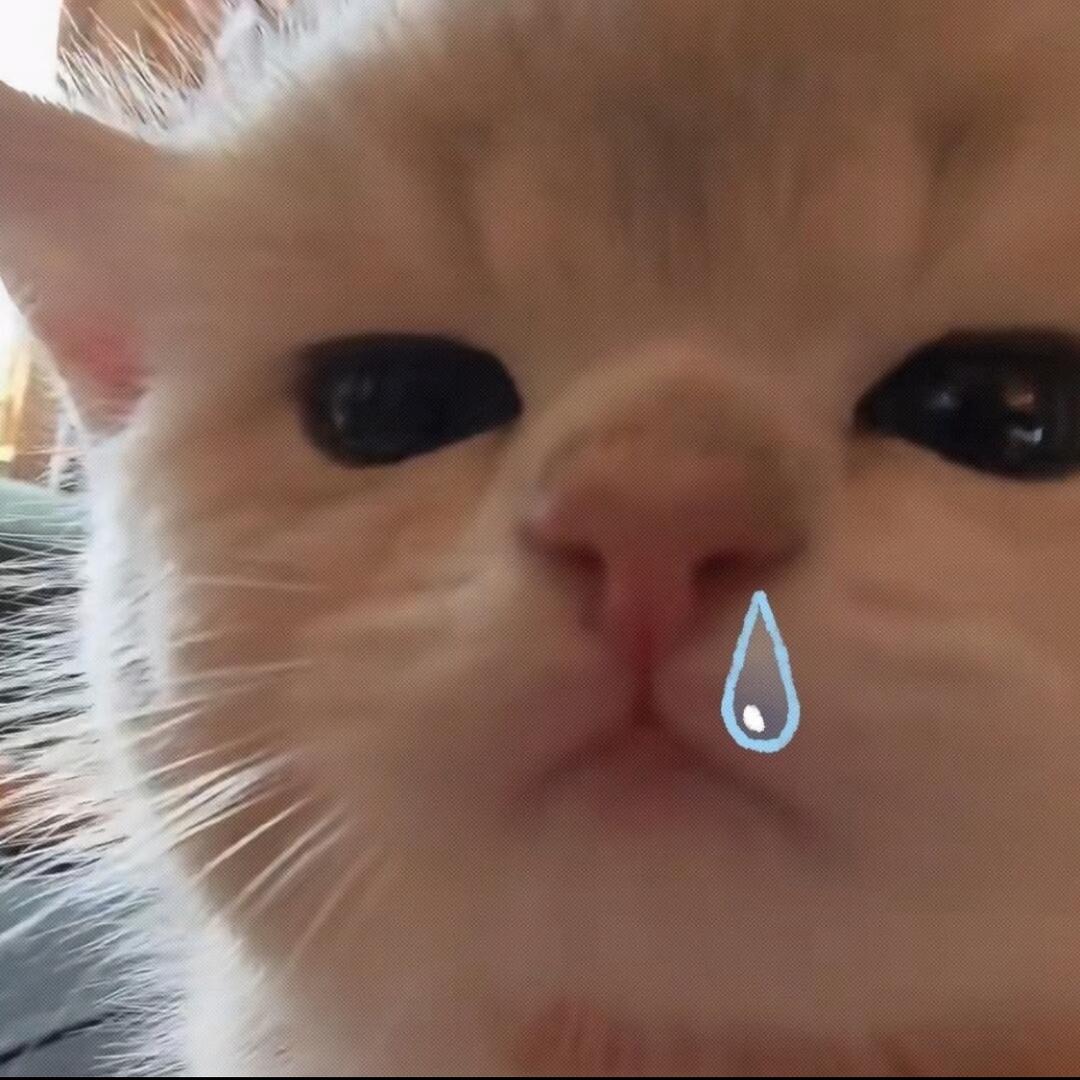 喂喂薇