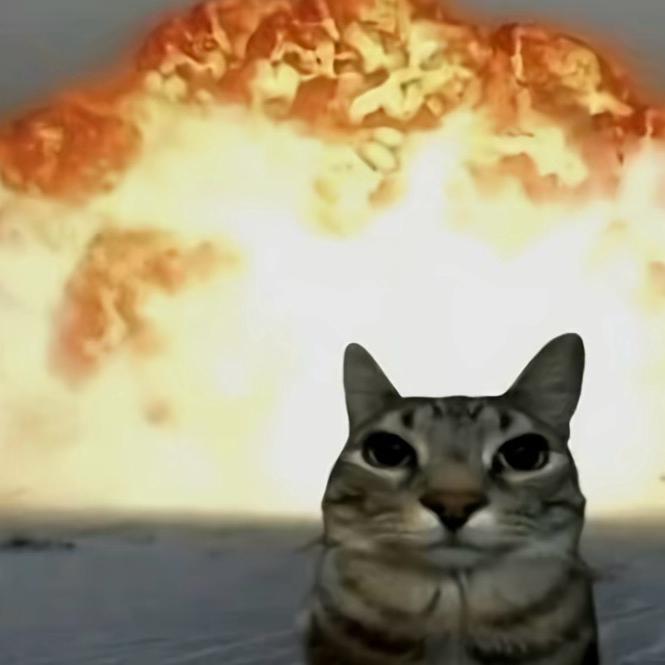 正一陶吉吉🍟（见过陶喆版）