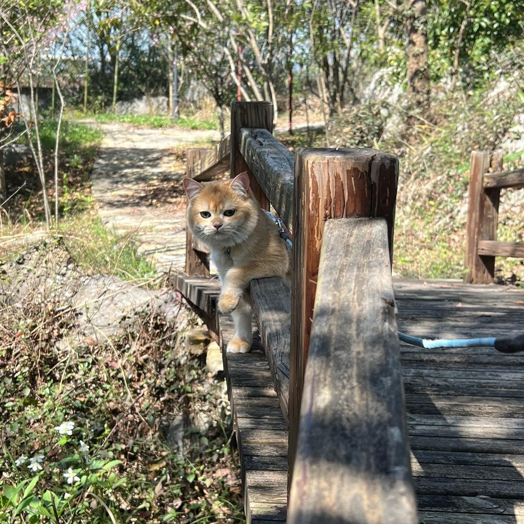 我要修仙