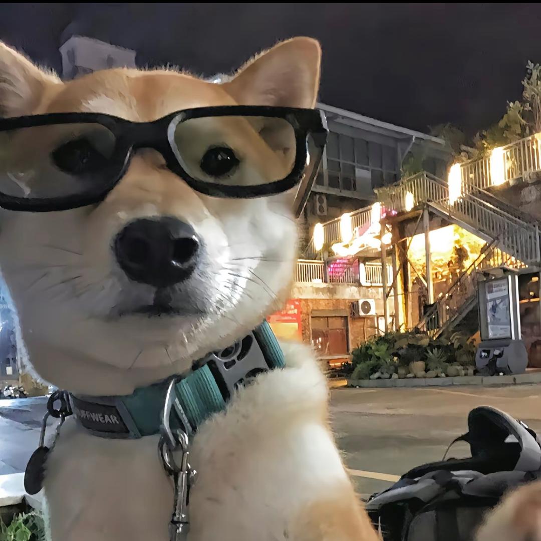 得悟杜
