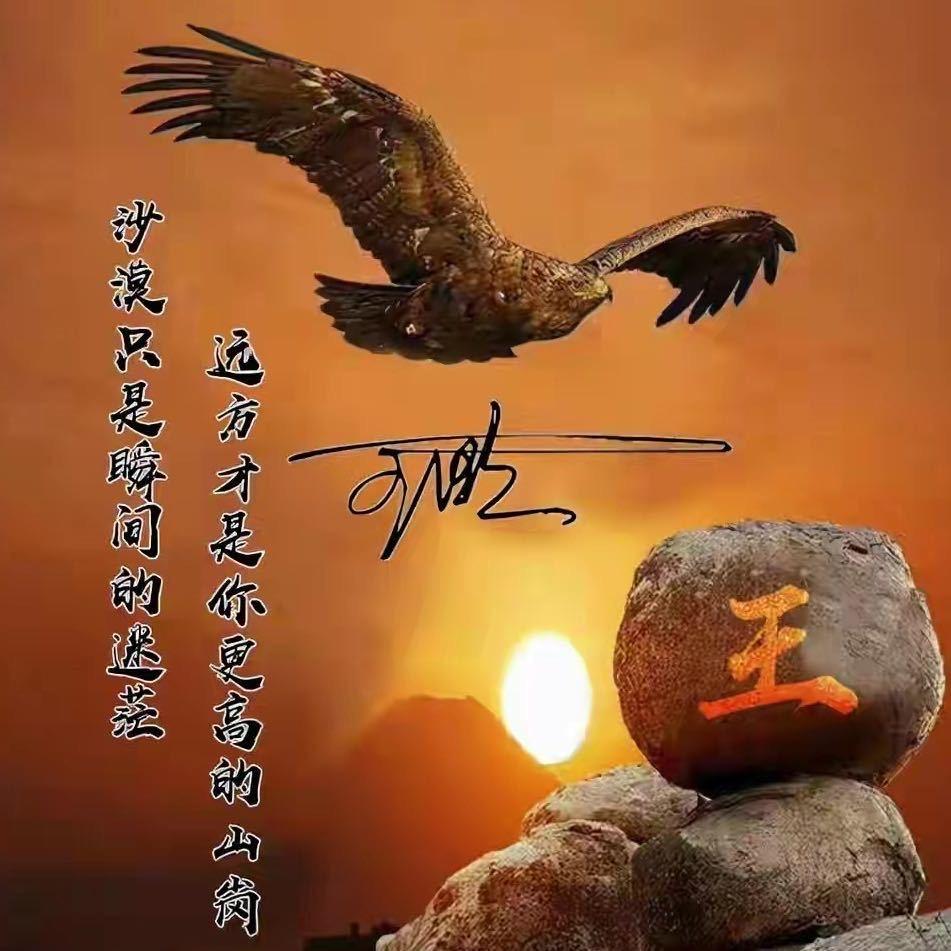 老鹰探钓
